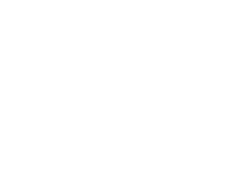 ご予約のお時間にトリミングカーでご自宅に伺い、清潔で明るい車内でワンちゃんをキレイにいたします。